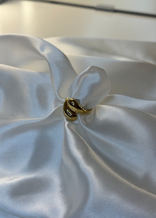 Nisa Ring